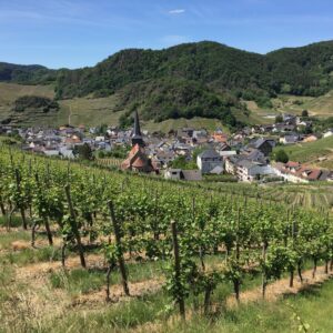 Weinwanderung Ahrtal mit Blick auf Weinberge und Dorf