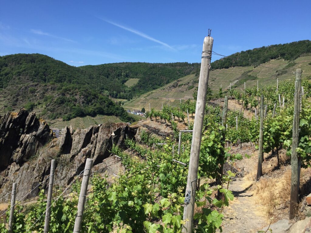 Wanderweg durch die Weinberge im Ahrtal