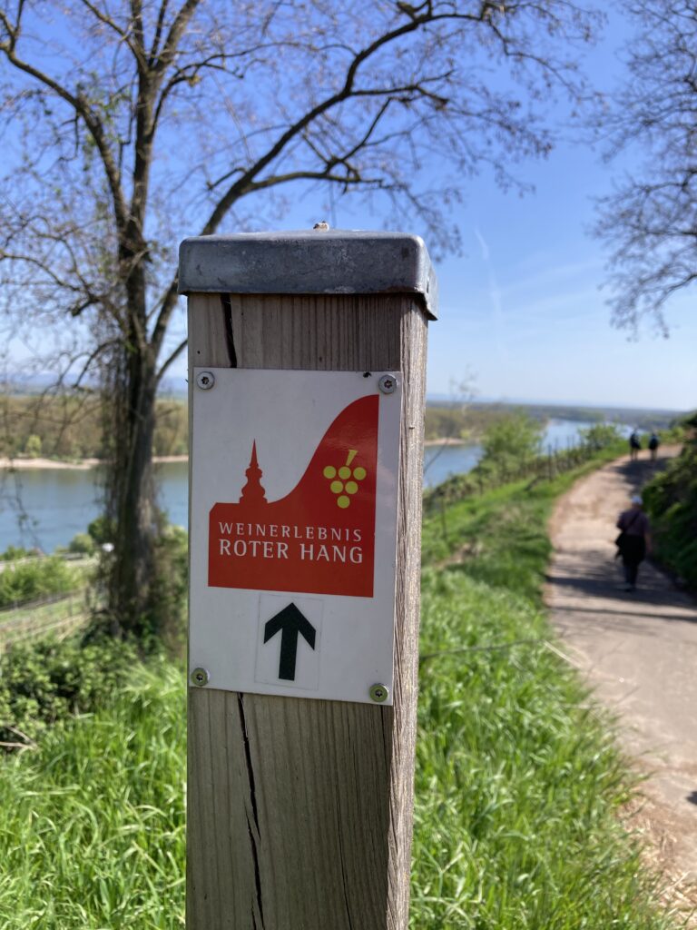 Wanderweg Weinerlebnis Roter Hang in Nierstein