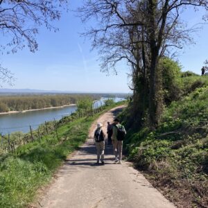 Wein-Genuß-Wanderung in Nierstein – mit Weinprobe & Winzerbesuch
