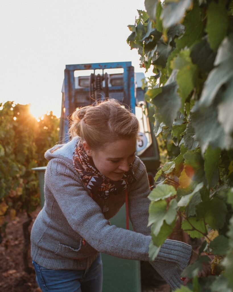 Winzerin Lisa Bunn bei der Arbeit im Weinberg